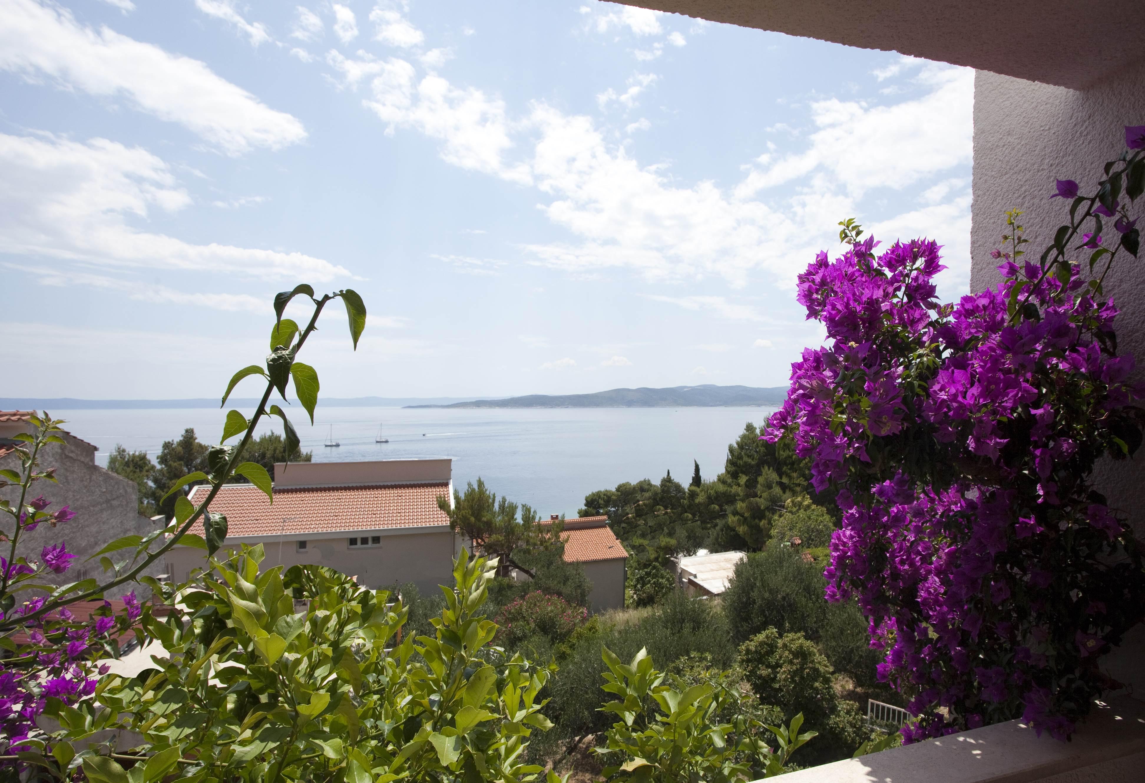 Villa Skalinada, 8 Persons, Private Pool, Baška Voda Exterior foto